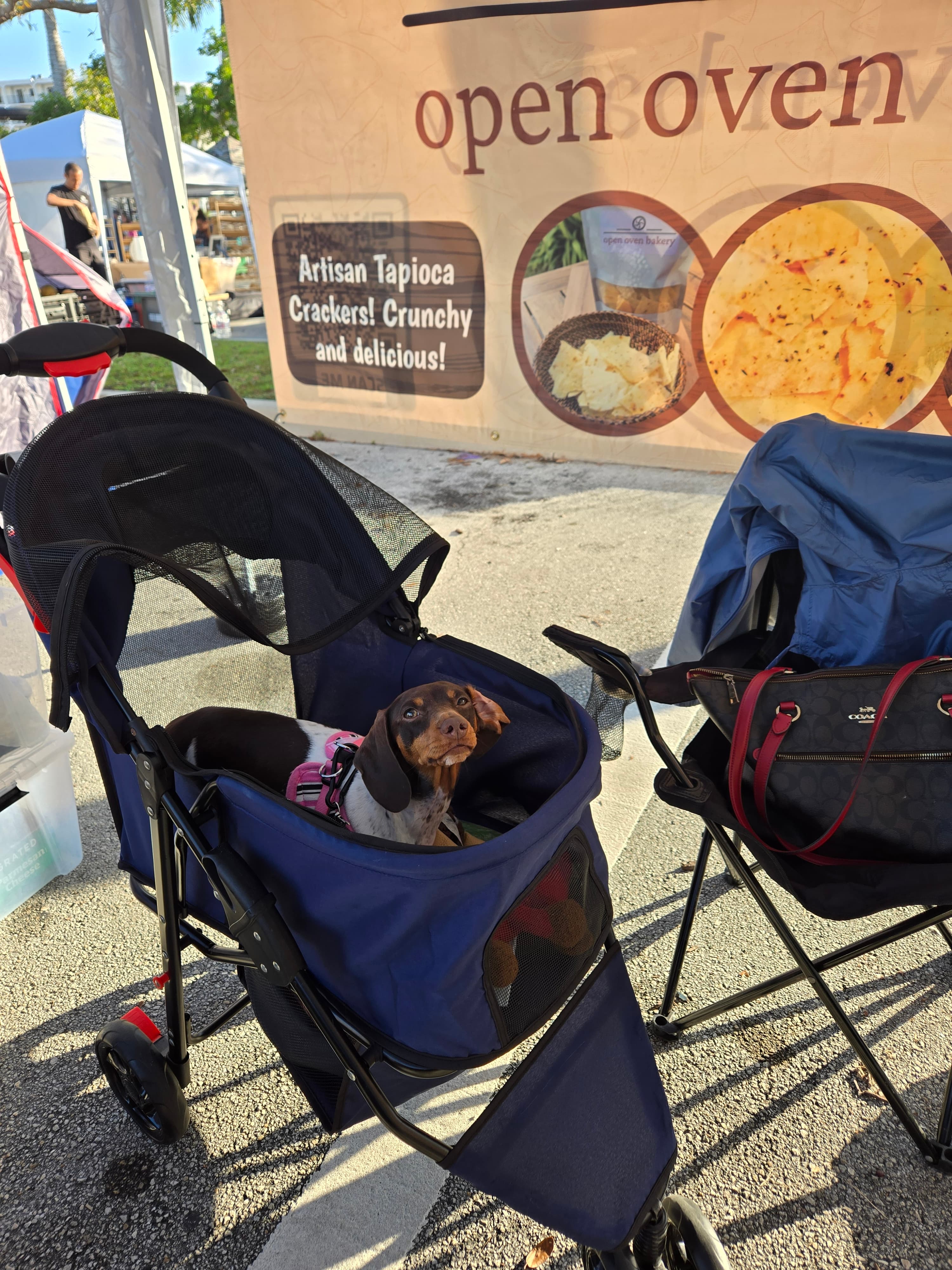 Open Oven Bakery at the farmers market